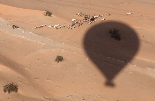 Hot air ballooning over the UAE desert.