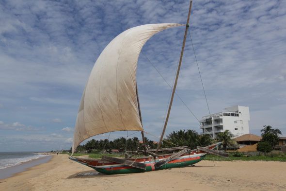 Katamaran on the beach in Negombo
