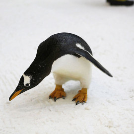 Pingwiny na sztucznym stoku narciarskim: Ski Dubai